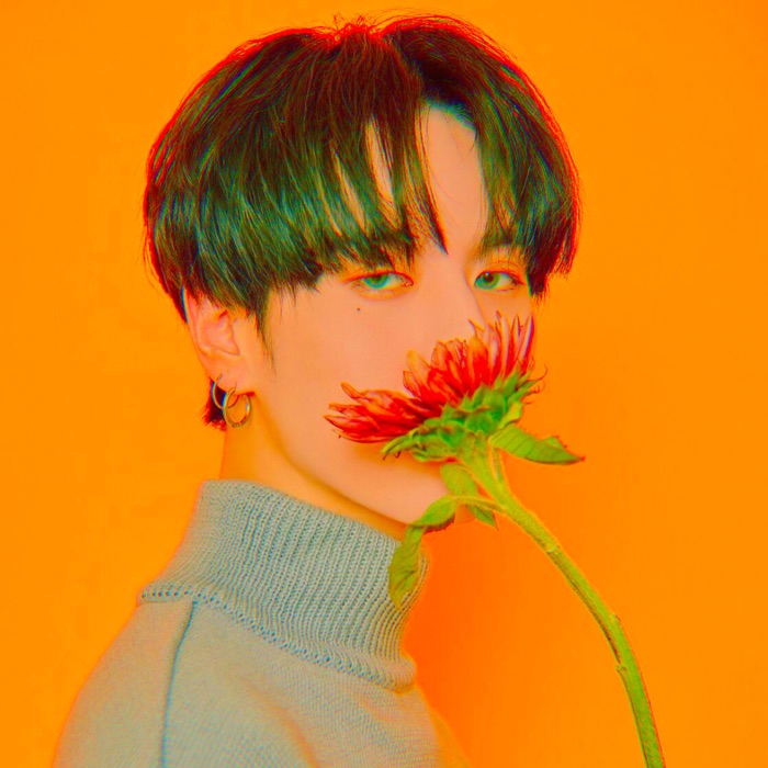 profile cover