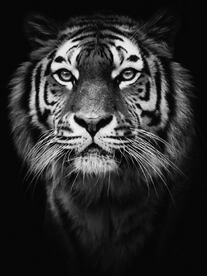 story-img