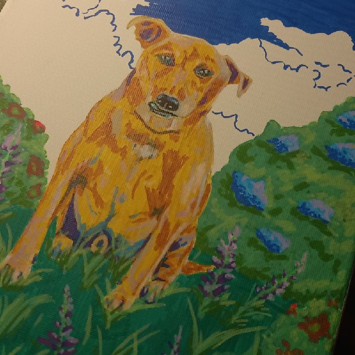profile cover