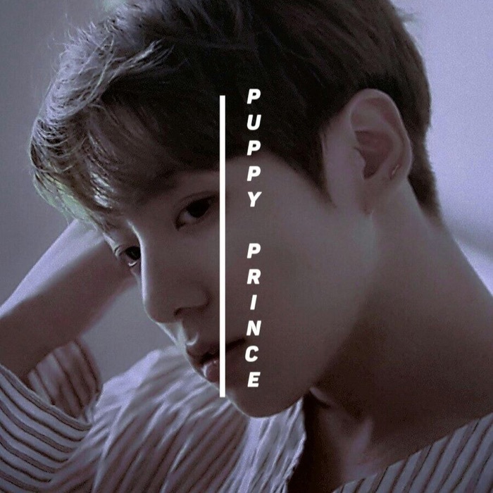 profile cover