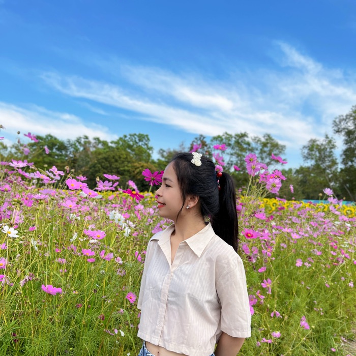 profile cover