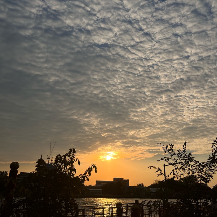 profile cover