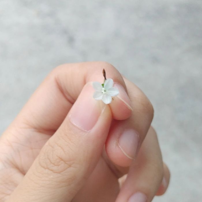 profile cover