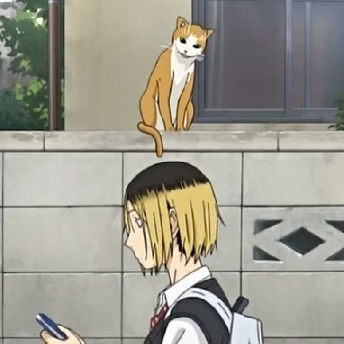 profile cover