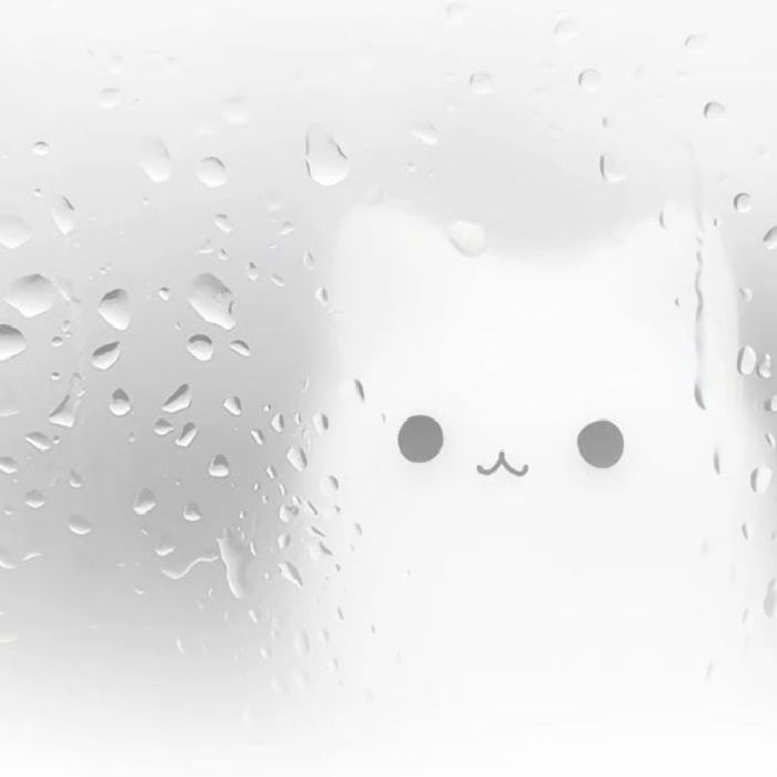 profile cover