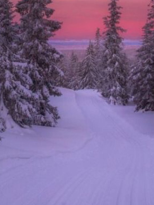 story-img