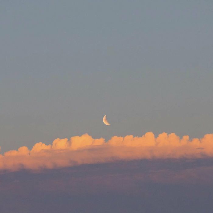 profile cover
