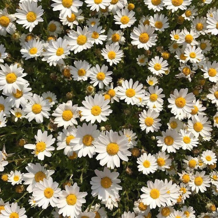profile cover