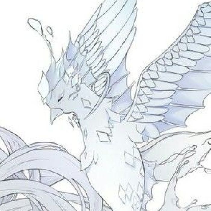 profile cover