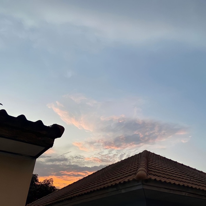 profile cover