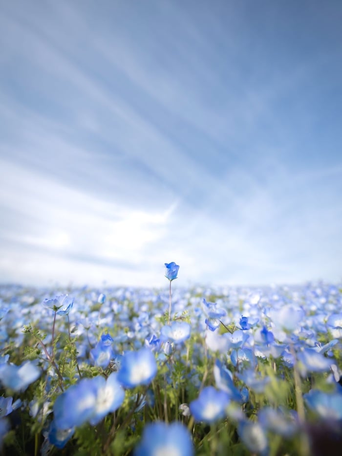 story-img