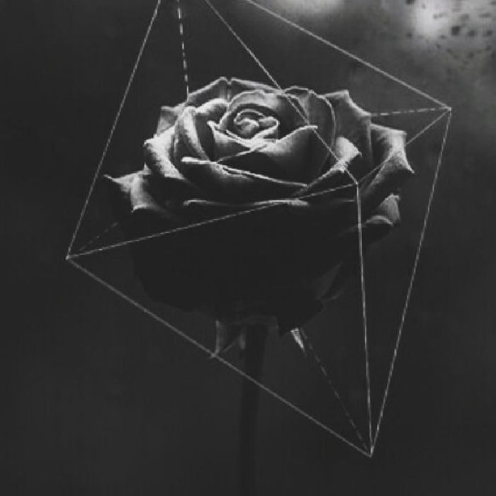 profile cover