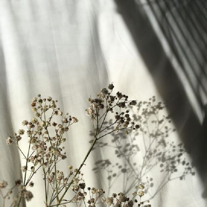 profile cover