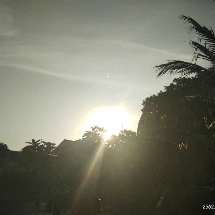 profile cover