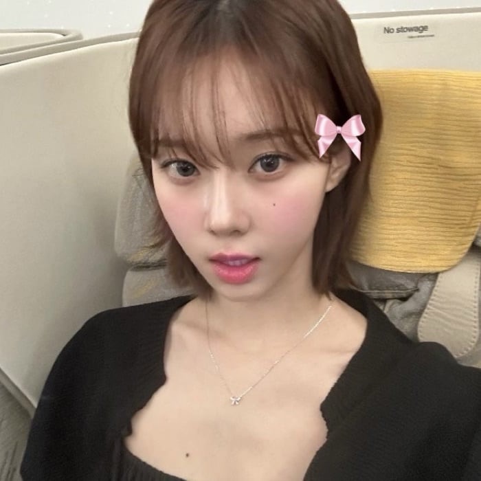 profile cover