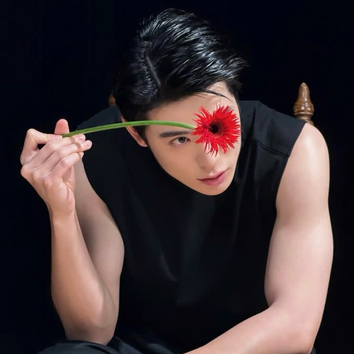 profile cover