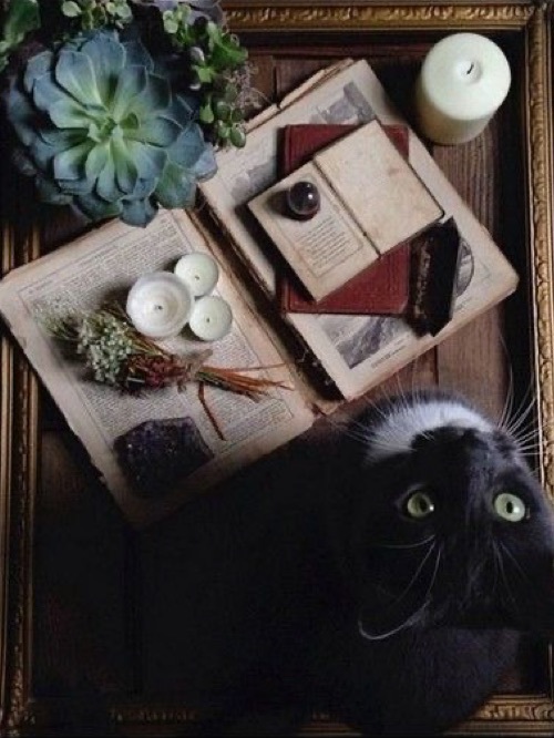 story-img