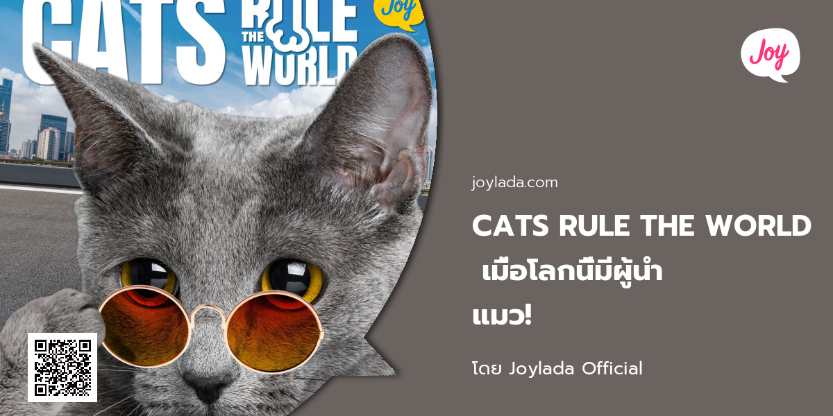 CATS RULE THE WORLD เมื่อโลกนี้มีผู้นำแมว!