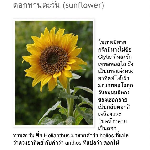 profile cover