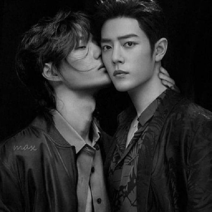 profile cover