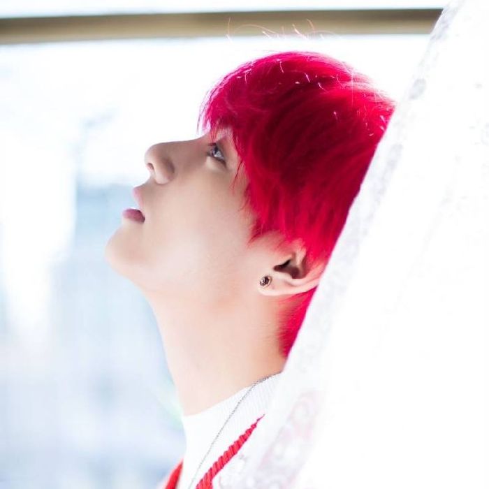 profile cover