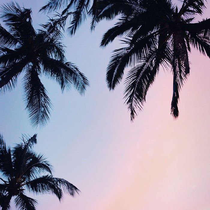 profile cover