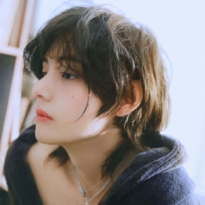 profile cover
