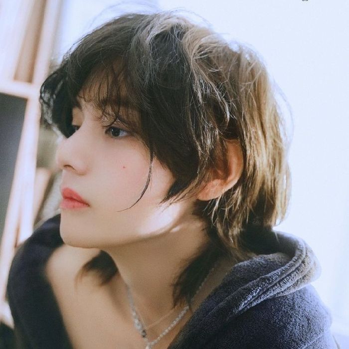 profile cover
