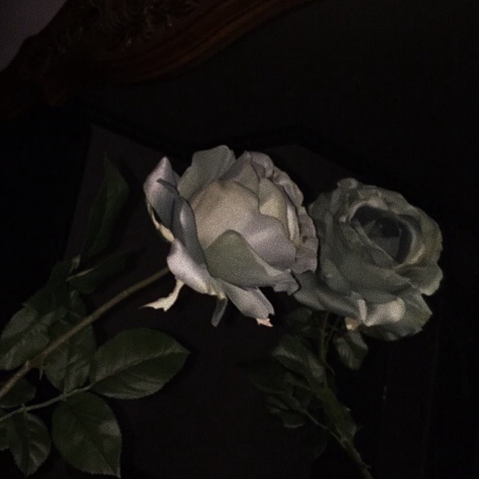 profile cover