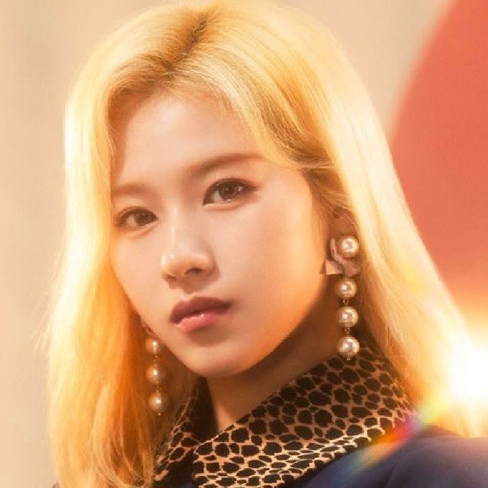 profile cover