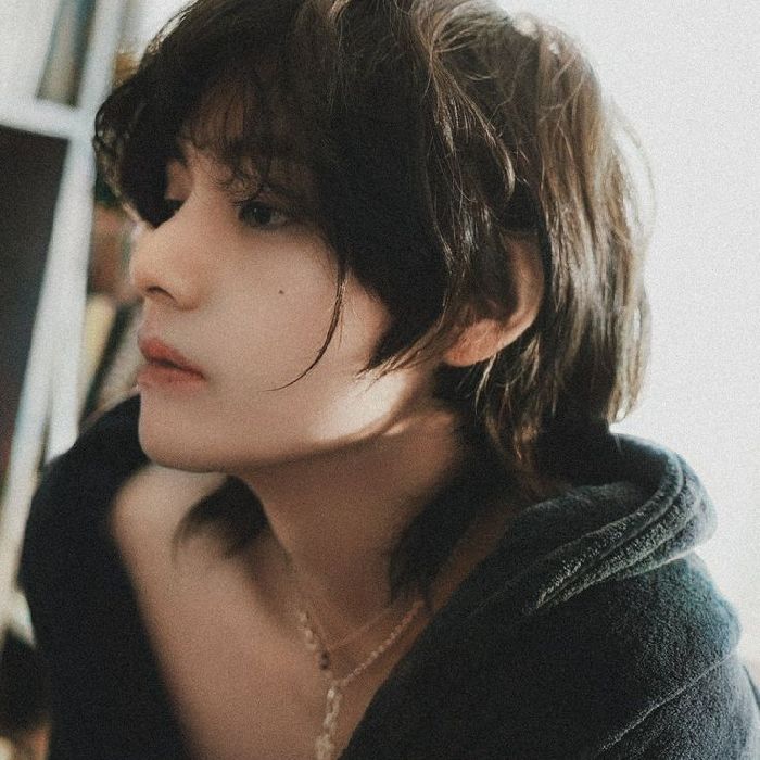 profile cover