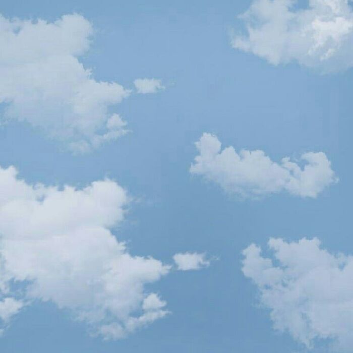 profile cover