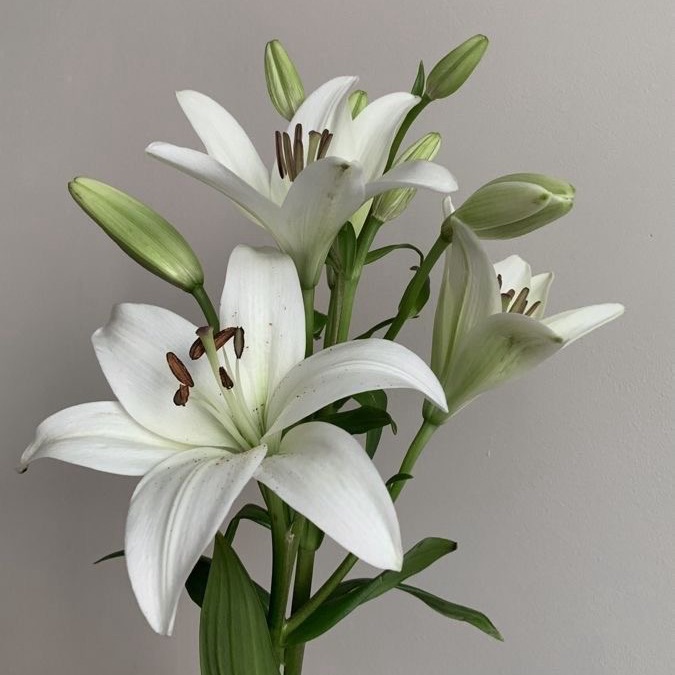 profile cover
