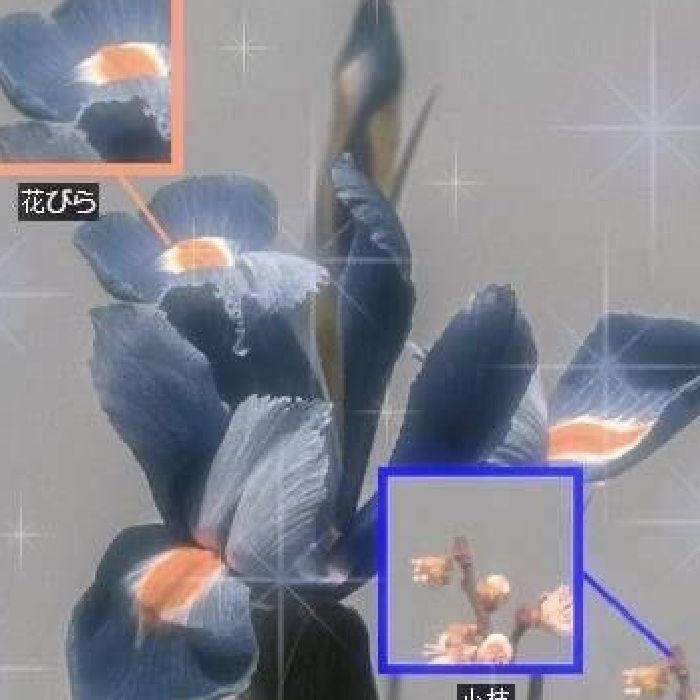 profile cover