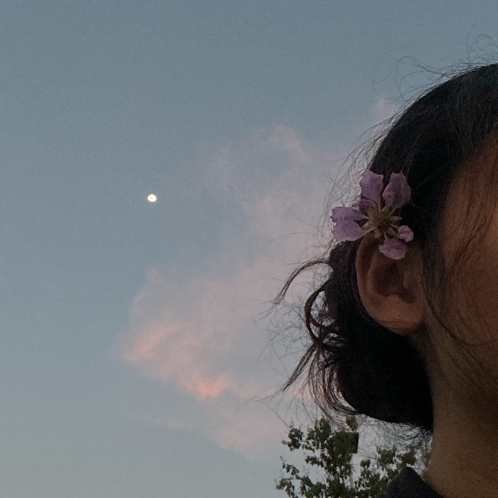 profile cover