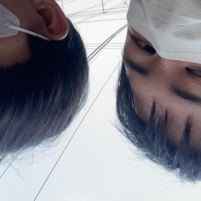 profile cover