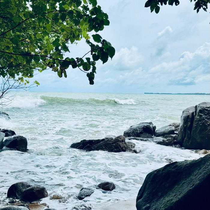 profile cover