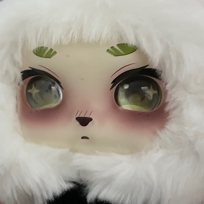 profile cover