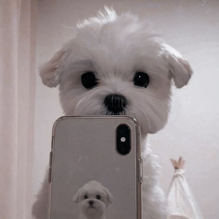 profile cover
