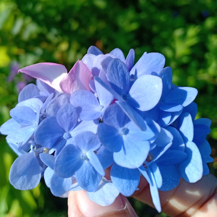 profile cover