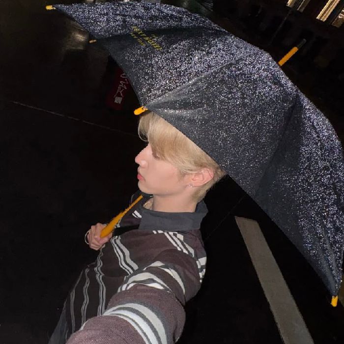 profile cover