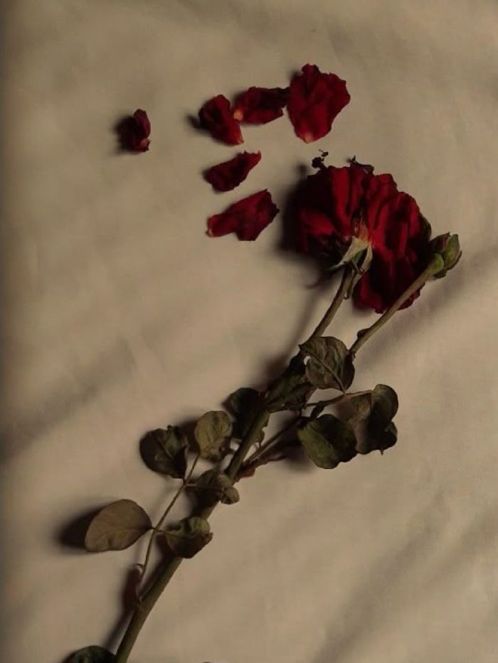story-img