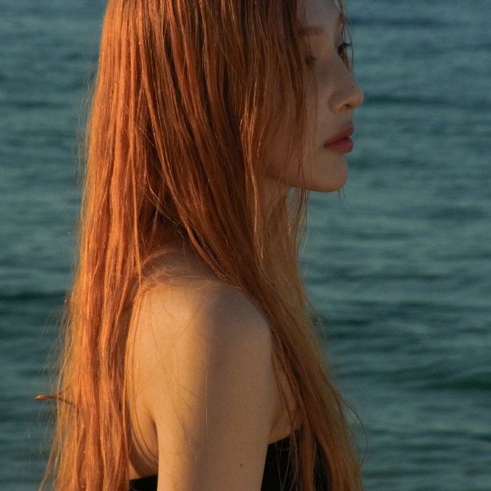 profile cover