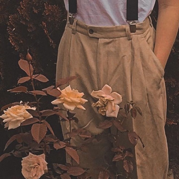 profile cover