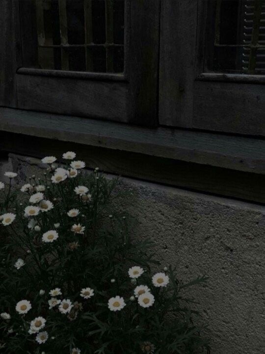 story-img