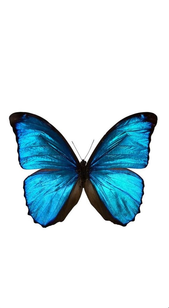 profile cover