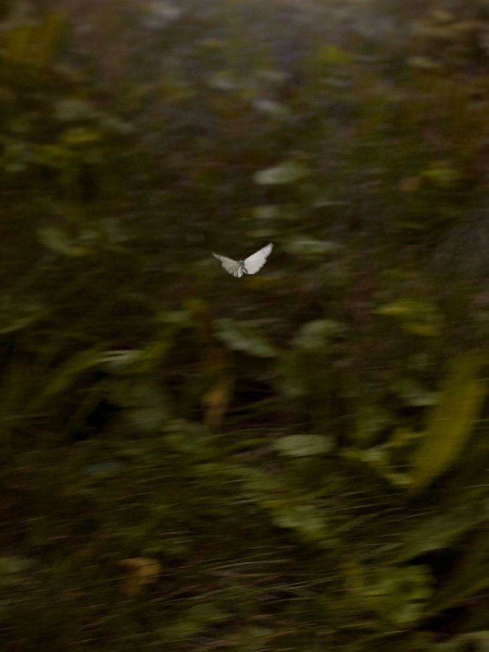 story-img