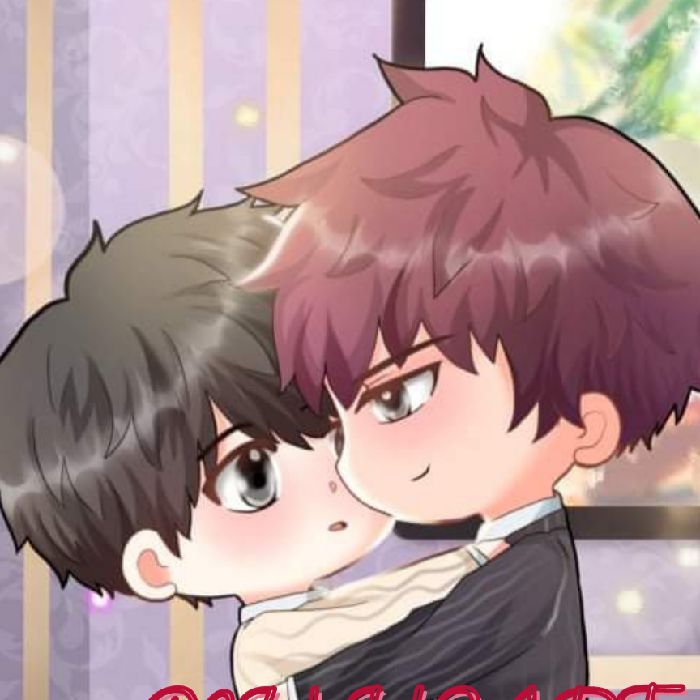 profile cover
