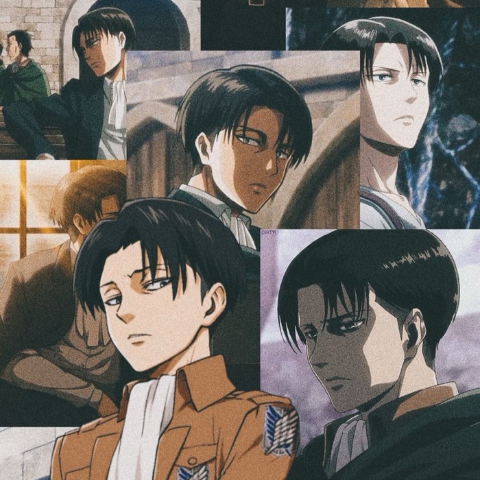 profile cover