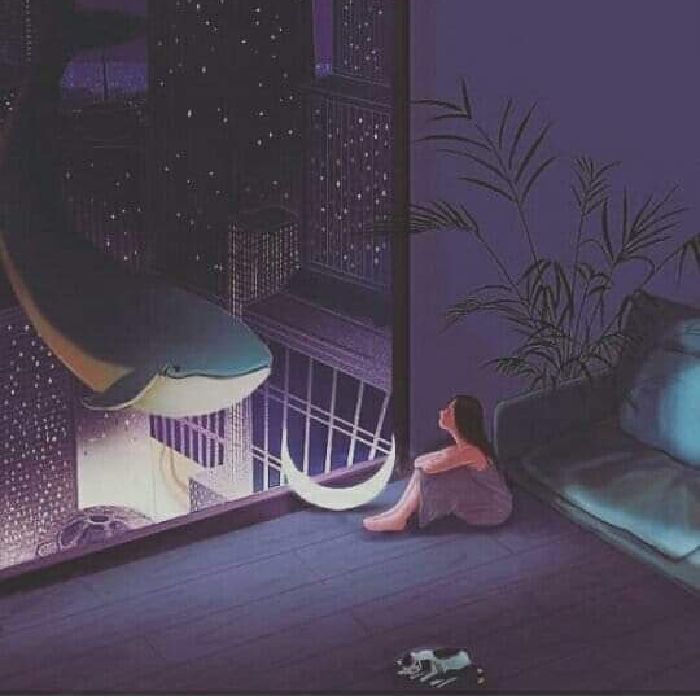 profile cover